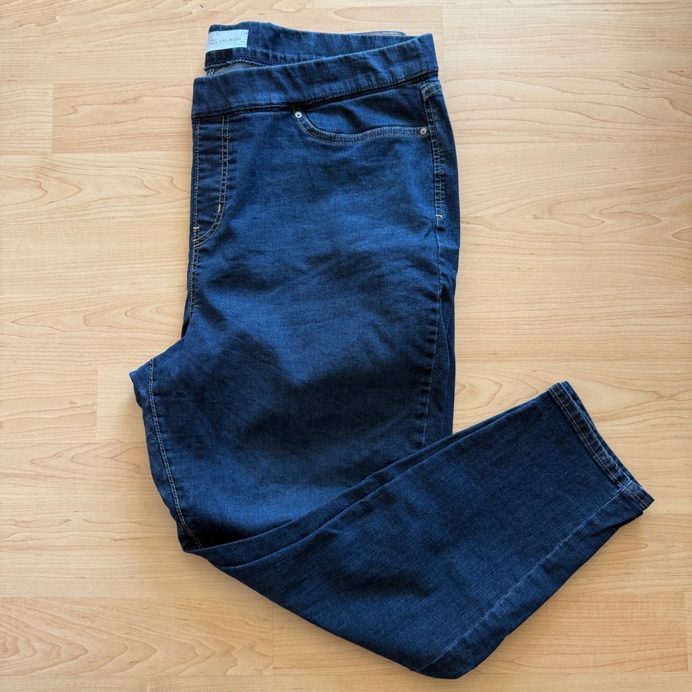 Levi Strauss Signature Gold Women’s Blue Stretch Skinny Jeans, Petite Size 20S